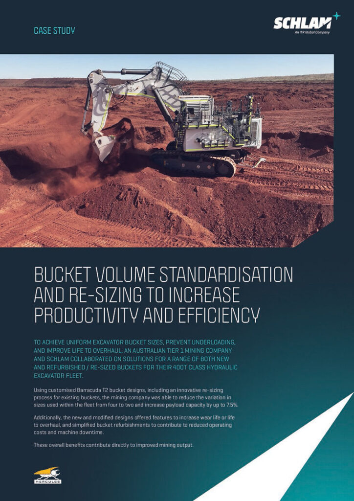 Fortescue bucket strategy deidentified finale